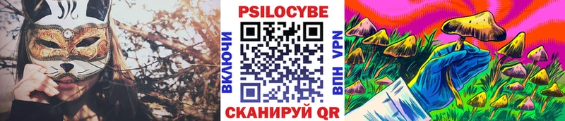 Галлюциногенные грибы Psilocybe  Хотьково 